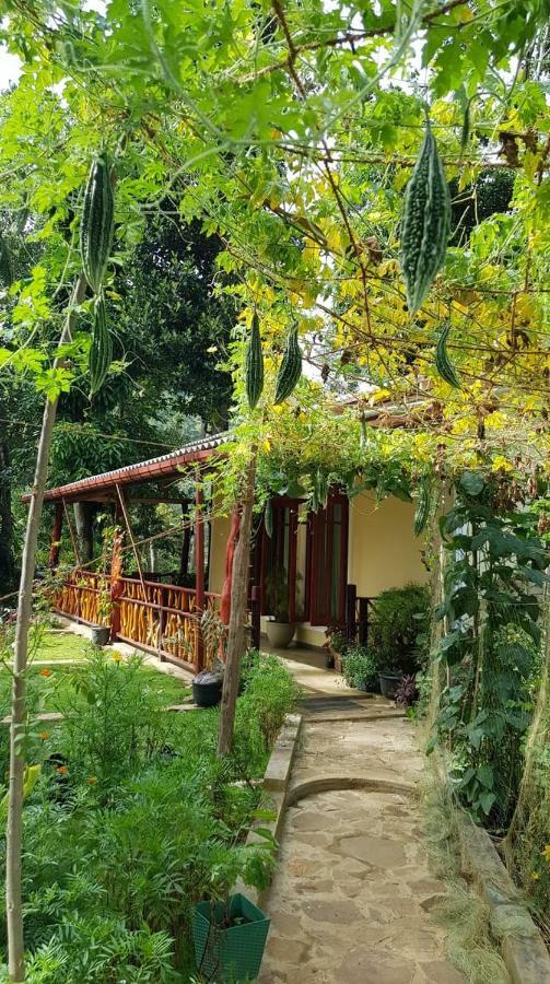 Happy Horizon Home Stay Ella Esterno foto